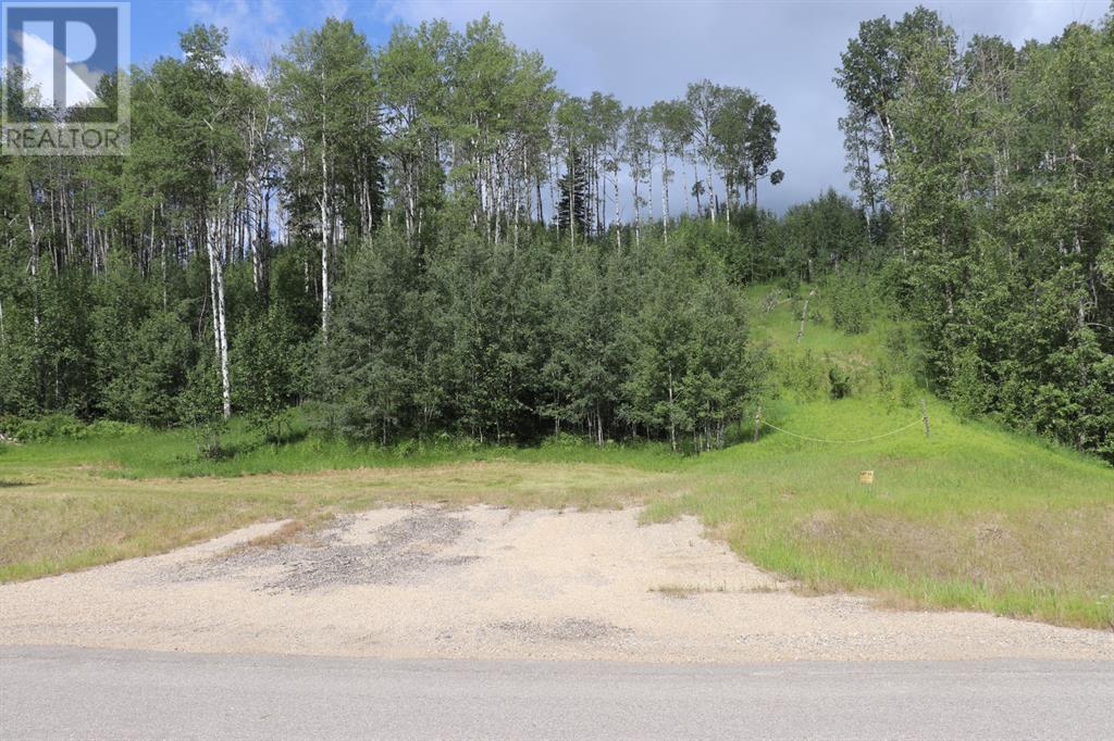 Vacant Land For Sale 23 River Ridge Estates, Rural Yellowhead County, Alberta