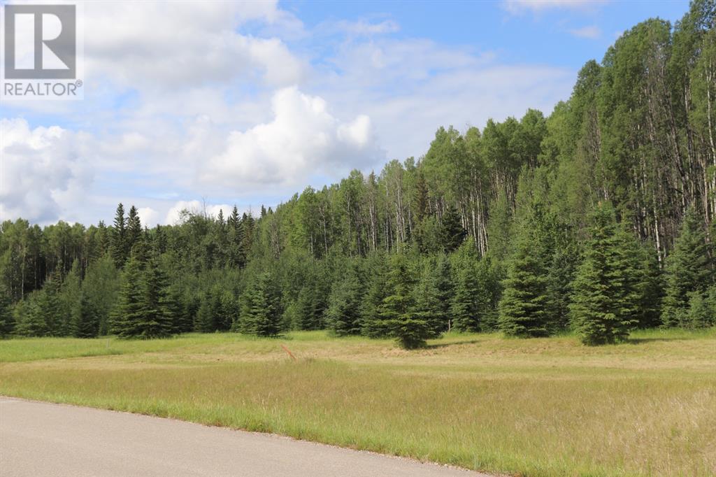 Vacant Land For Sale 24 River Ridge Estates, Rural Yellowhead County, Alberta