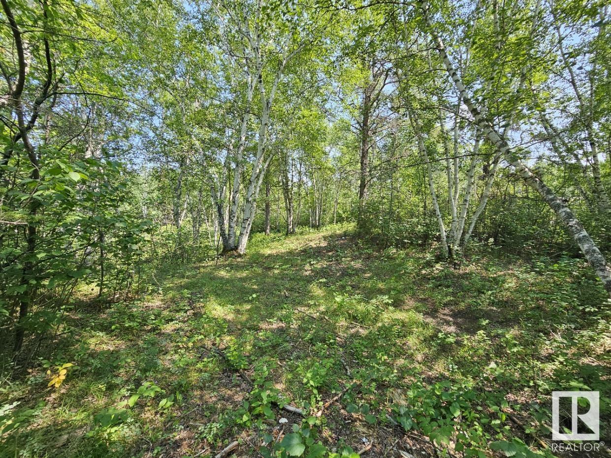Vacant Land For Sale 19 51124 Rge Rd 264, Rural Parkland County, Alberta