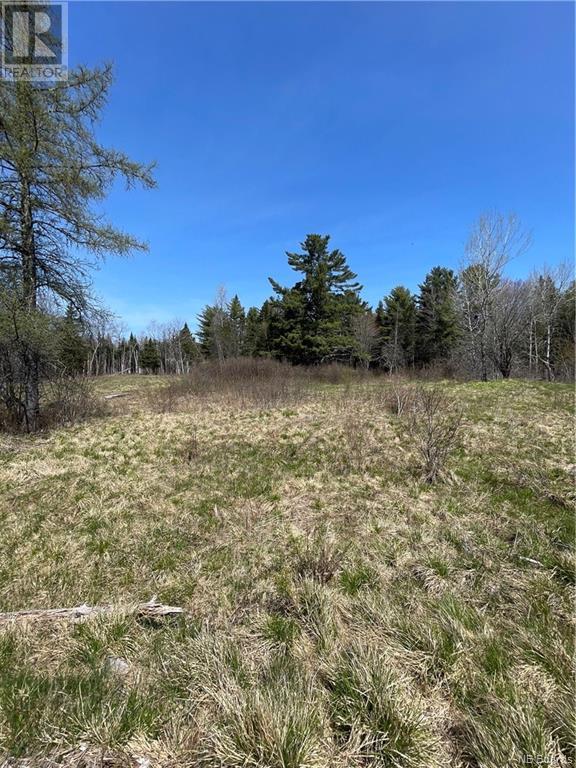 Vacant Land For Sale - Route 760, Elmsville, New Brunswick
