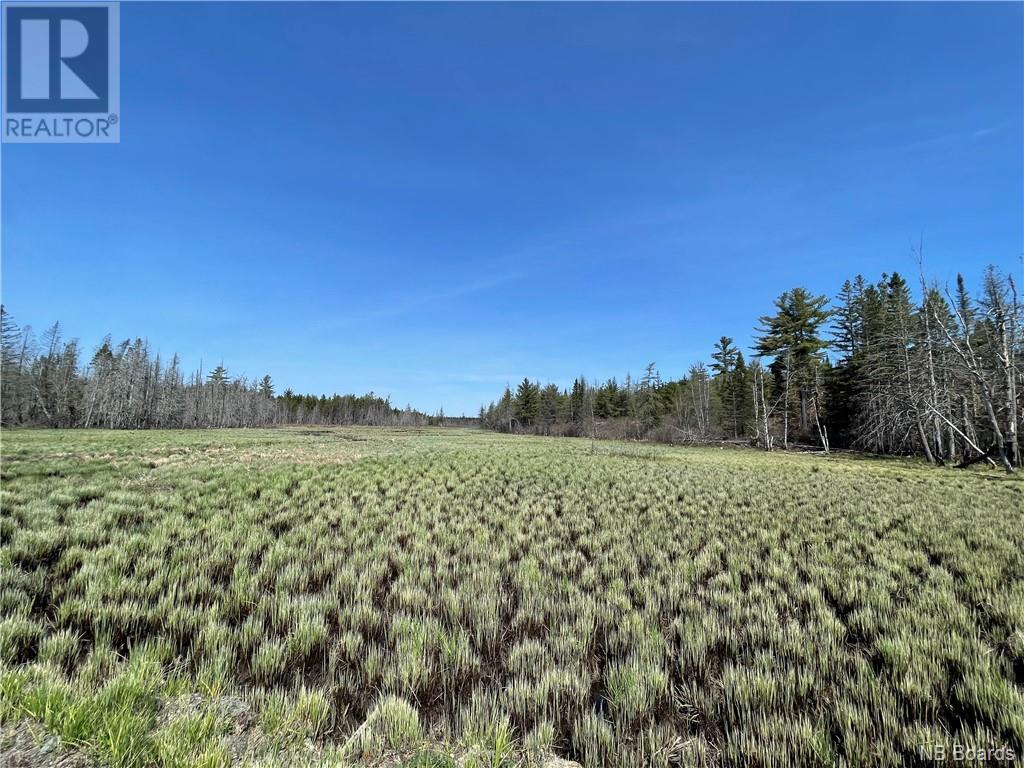 Vacant Land For Sale - Route 760, Elmsville, New Brunswick