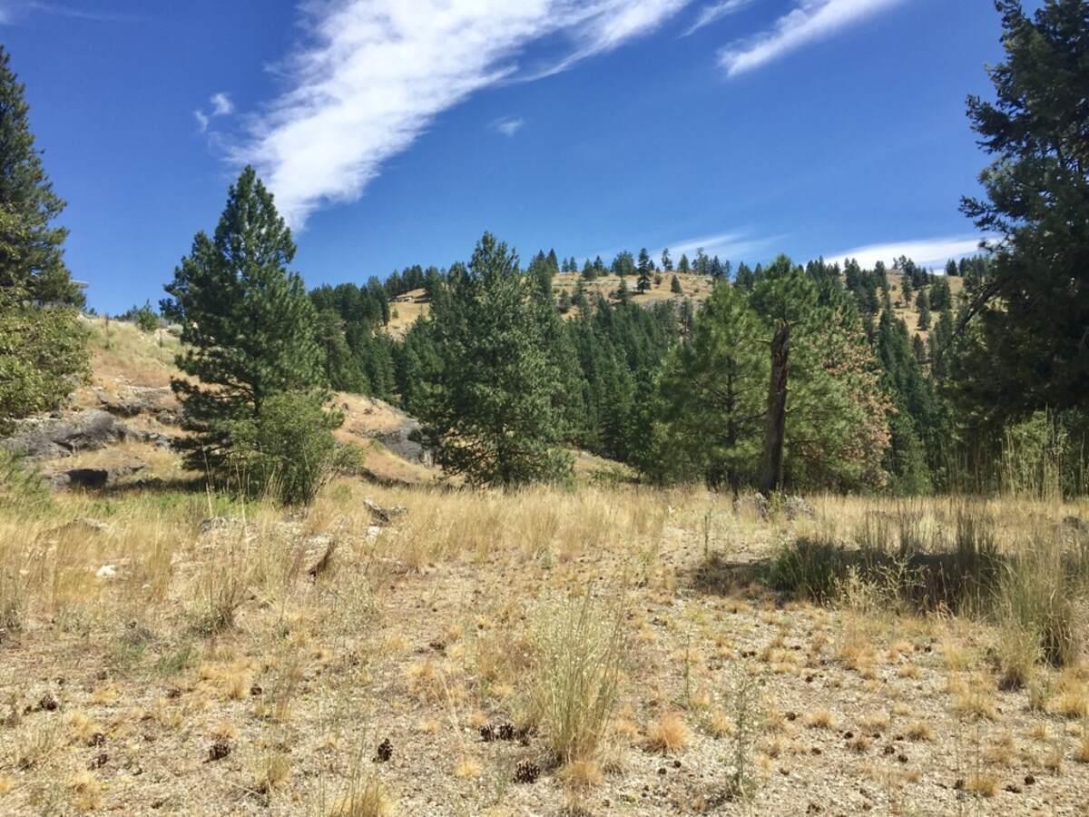 Vacant Land For Sale #lot 12 Blacktail Place,, Osoyoos, British Columbia