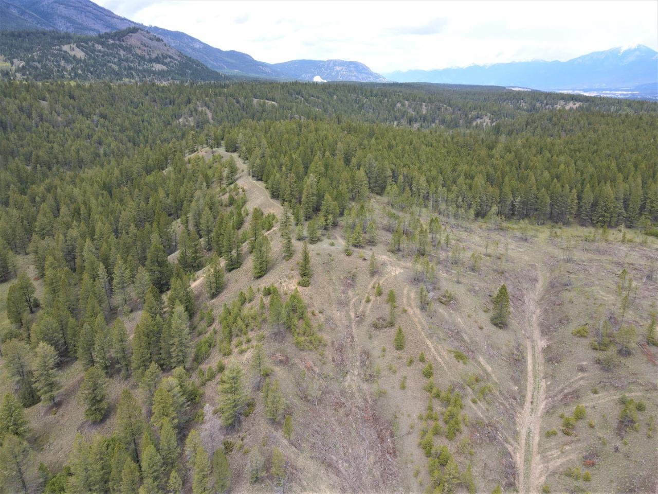 Vacant Land For Sale Lot 1 Hardie Creek Road, Columbia Lake, British Columbia