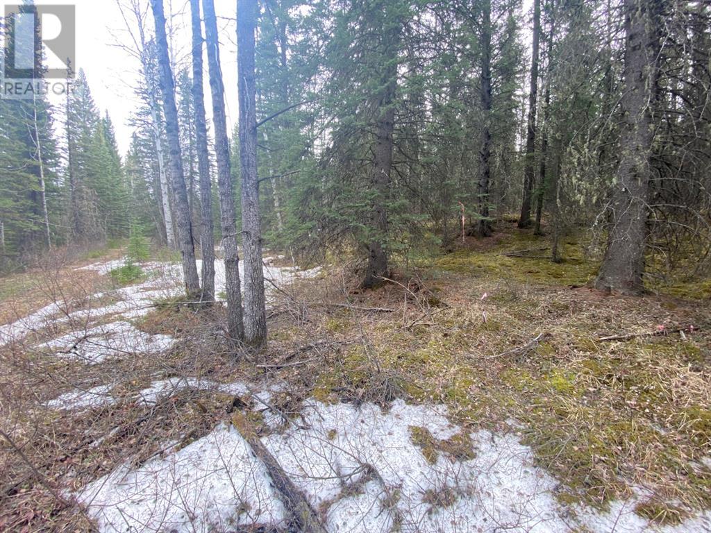 Vacant Land For Sale 5-23-52-20 Nw, Rural Yellowhead County, Alberta