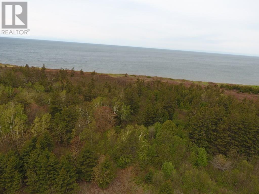 Vacant Land For Sale 10.1 Route 14, Campbellton, Prince Edward Island