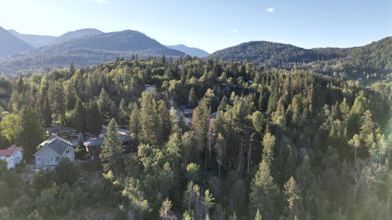 Vacant Land For Sale Lot 3 Highway 3b, Rossland, British Columbia