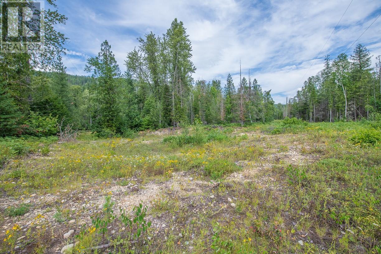 Vacant Land For Sale 2990 Enderby Mabel Lake Road, Enderby, British